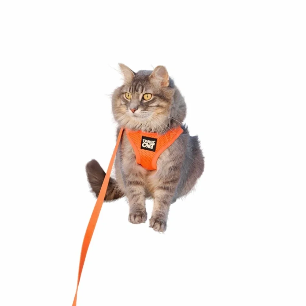 Travel Cat Large 